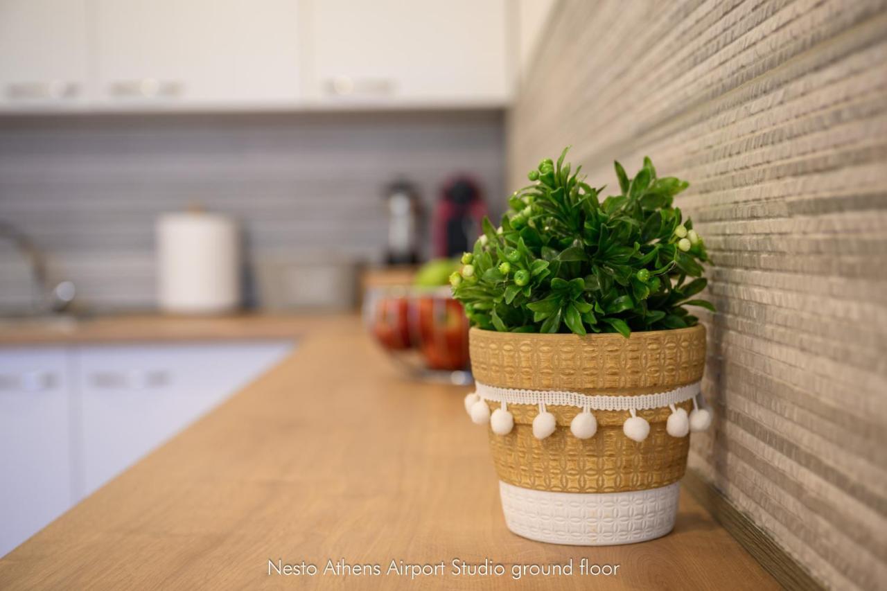 Apartmán Nesto Athens Airport Zen Spáta Exteriér fotografie