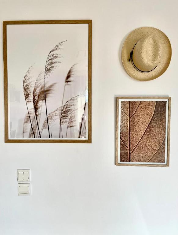 Apartmán Nesto Athens Airport Zen Spáta Exteriér fotografie